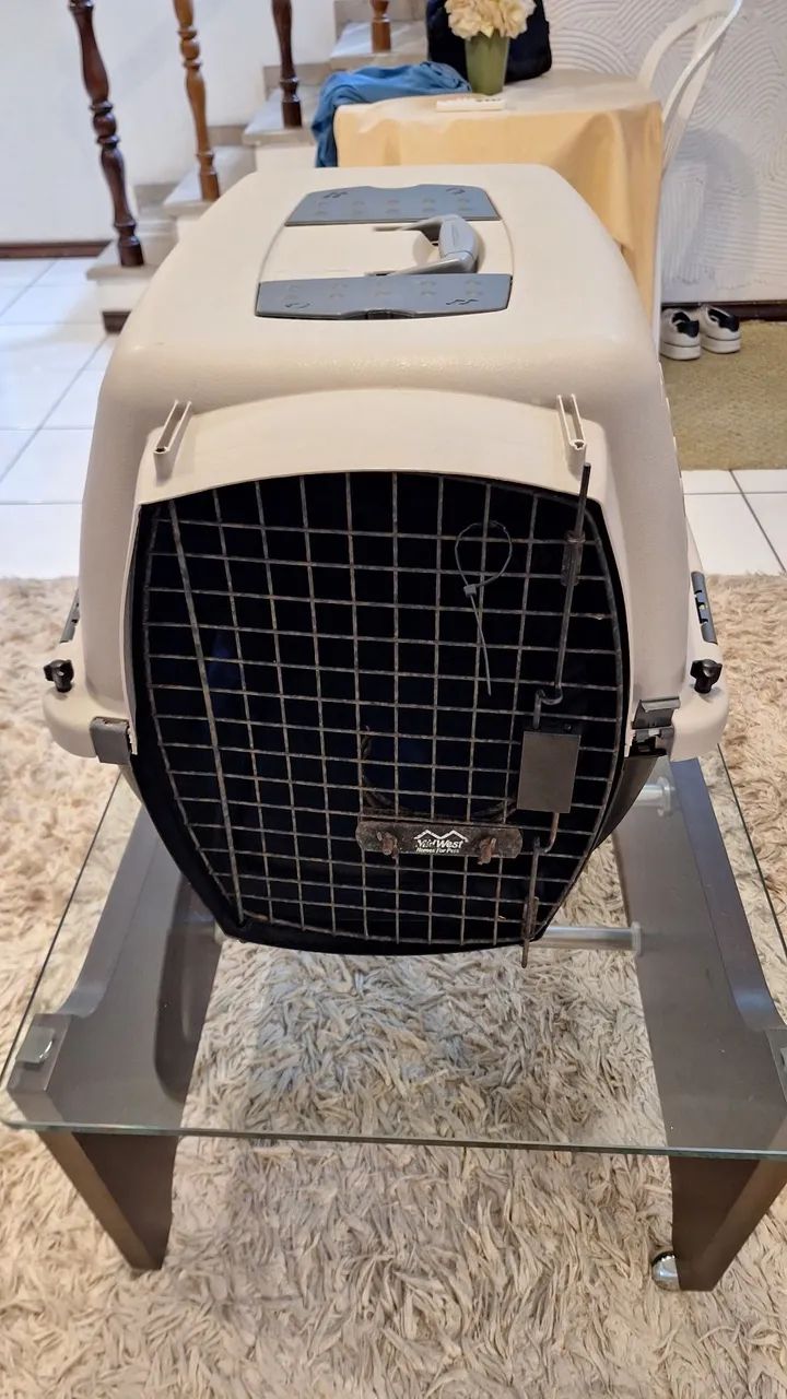 Transporte cachorro - Foto 2