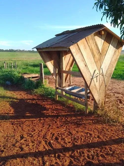 PECUÁRIA - Área Rural 52 Alqueires - Foto 4