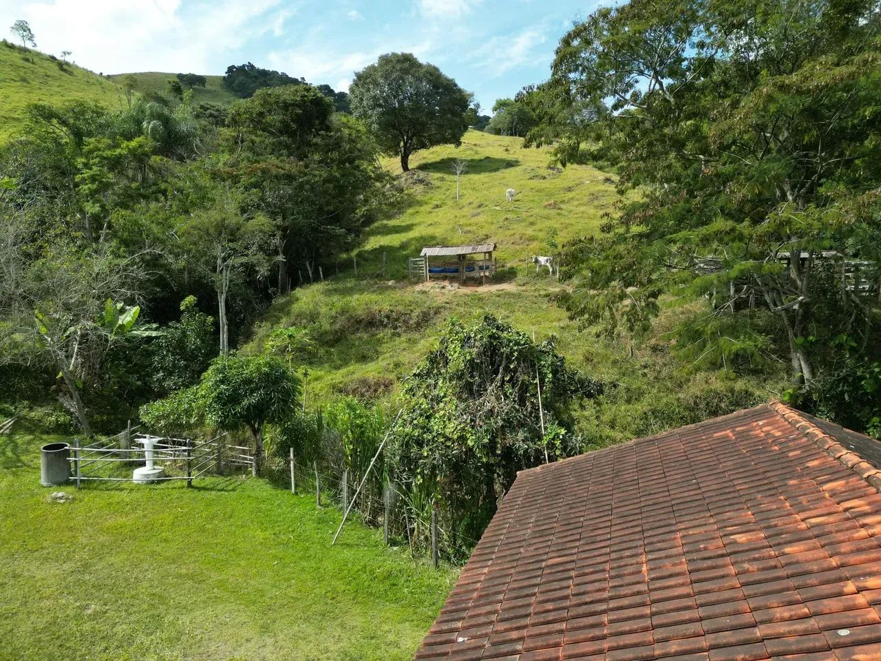 sitio com 60 mil metros em Itapeva-MG  com nascente - Foto 3