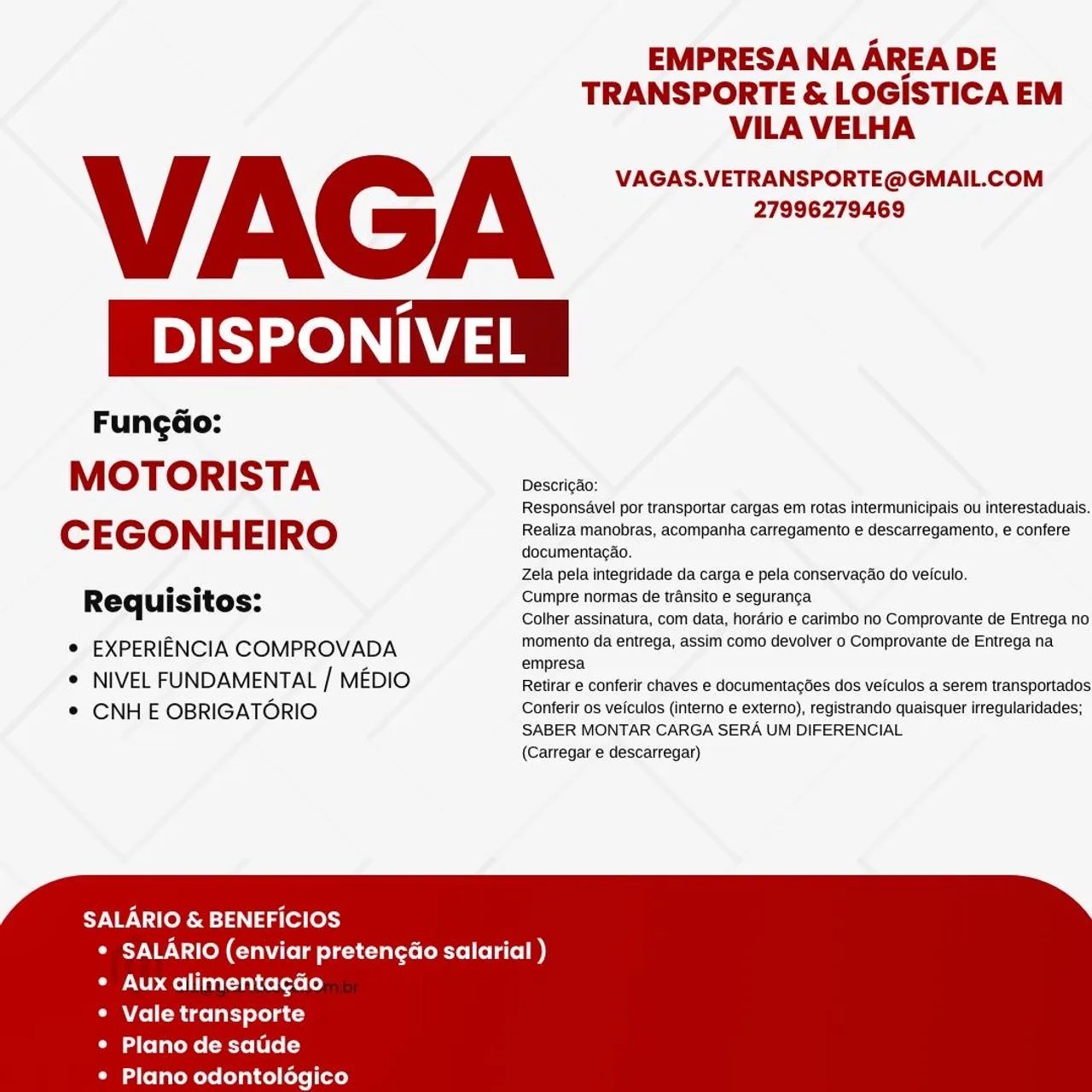 Motorista de cegonha