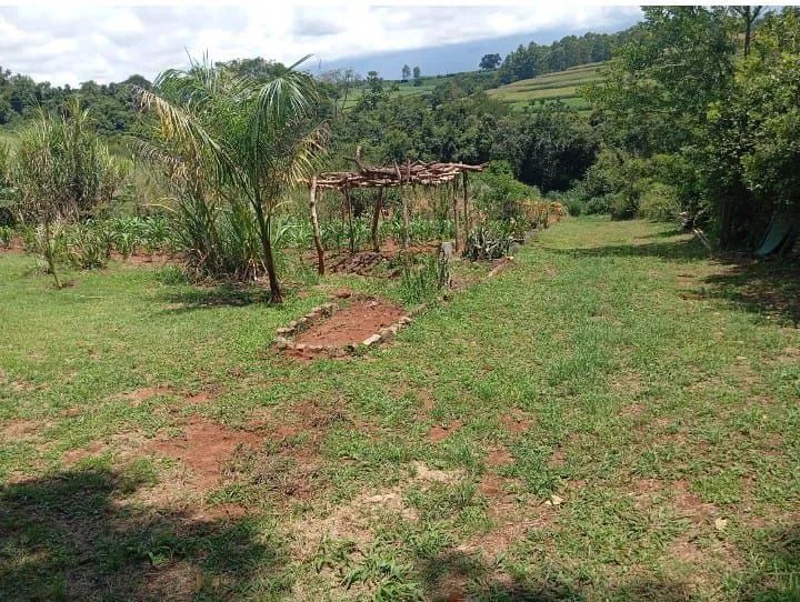 Chácara em Tamarana  - Foto 3