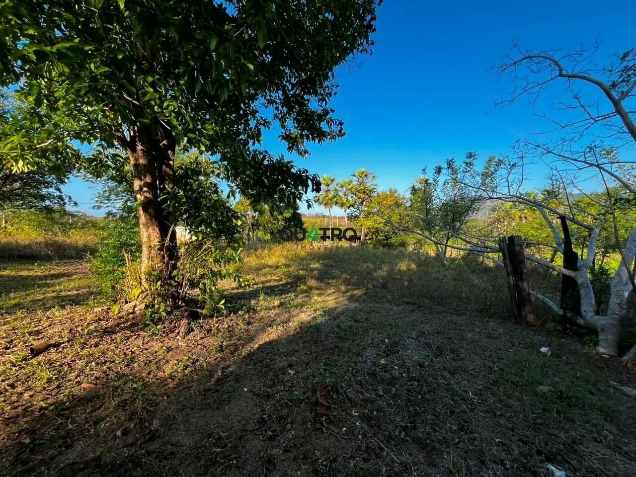 SÍTIO À VENDA  ACARAPE/CE OPORTUNIDADE - Foto 5