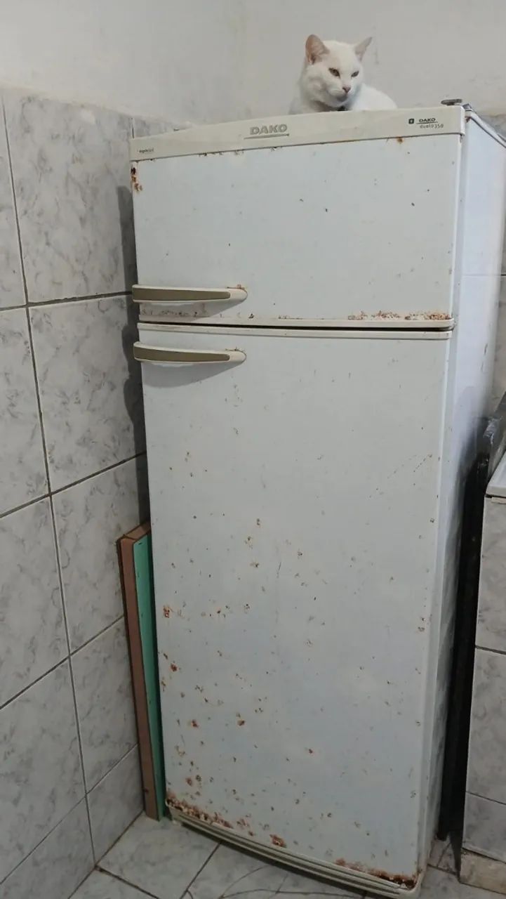 Geladeira dako dueto 