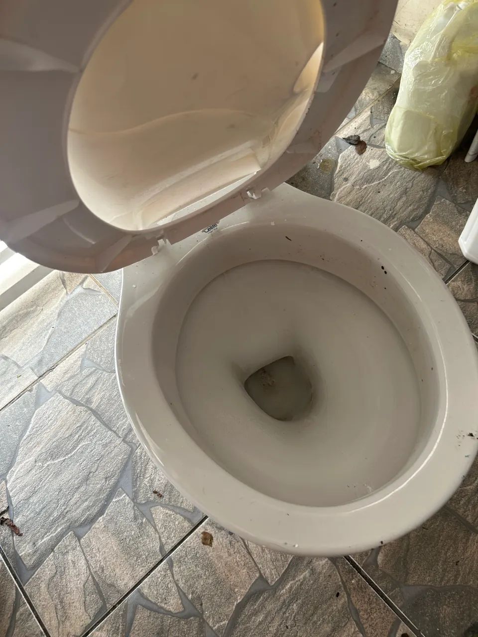 Vaso sanitário com caixa acoplada - Foto 2