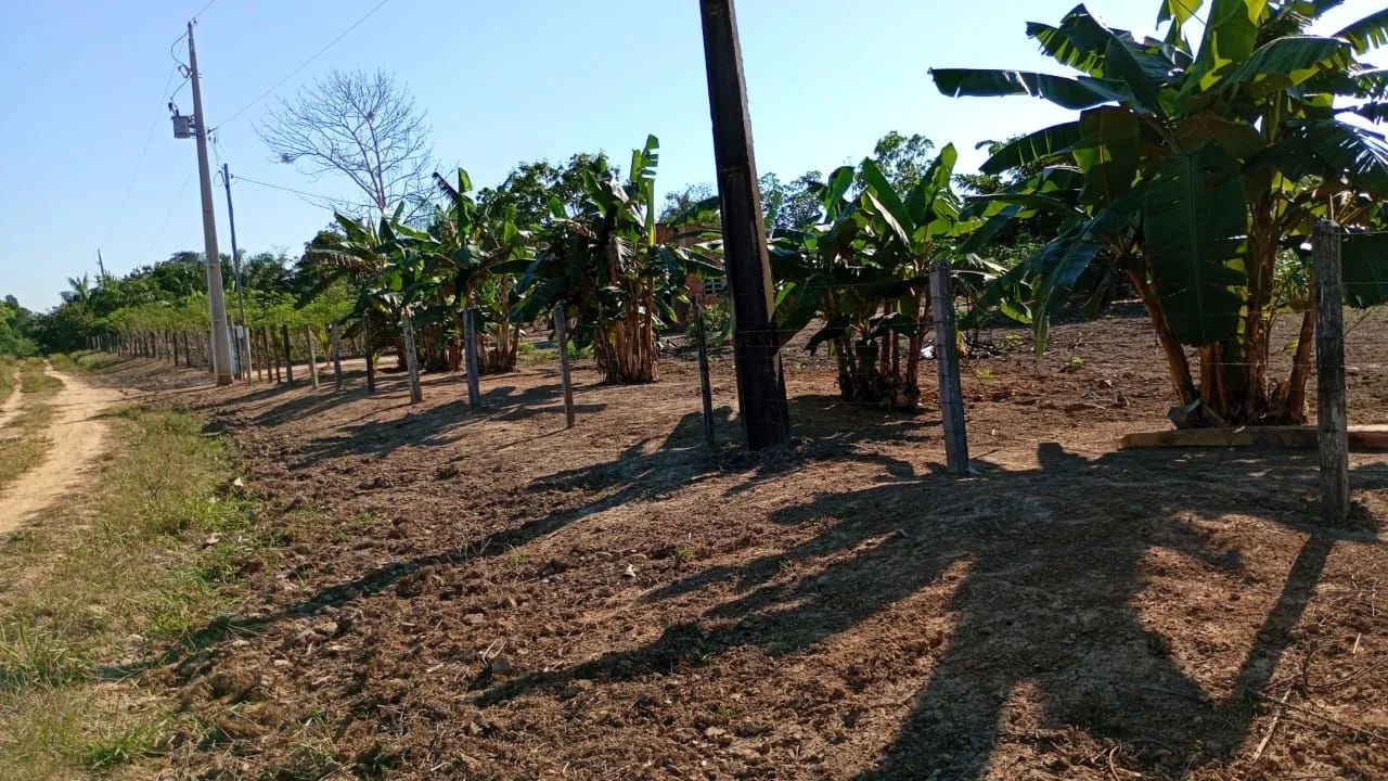 Chacara  - Foto 3
