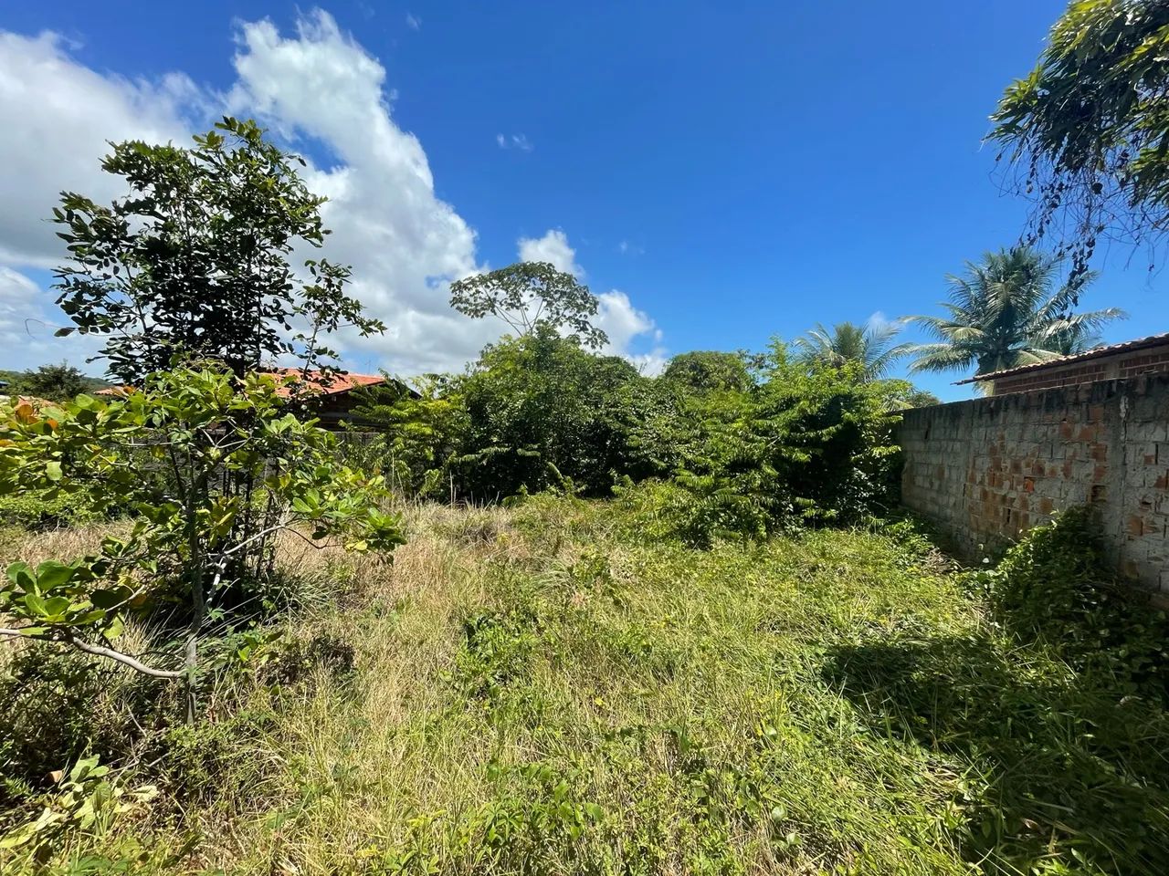 Terreno Jacumã,  450m2, murado e escriturado - Foto 4