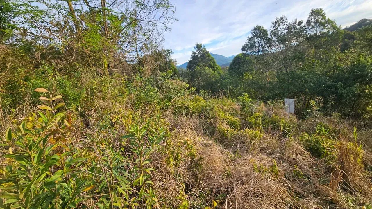 Lote no centro de Santo Amaro da Imperatriz - SC - Foto 2