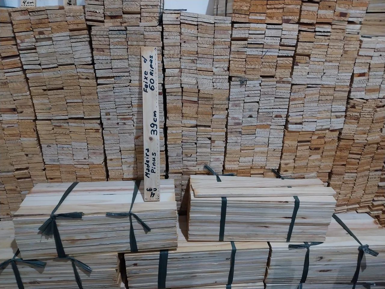 Ripas pinus - Foto 6