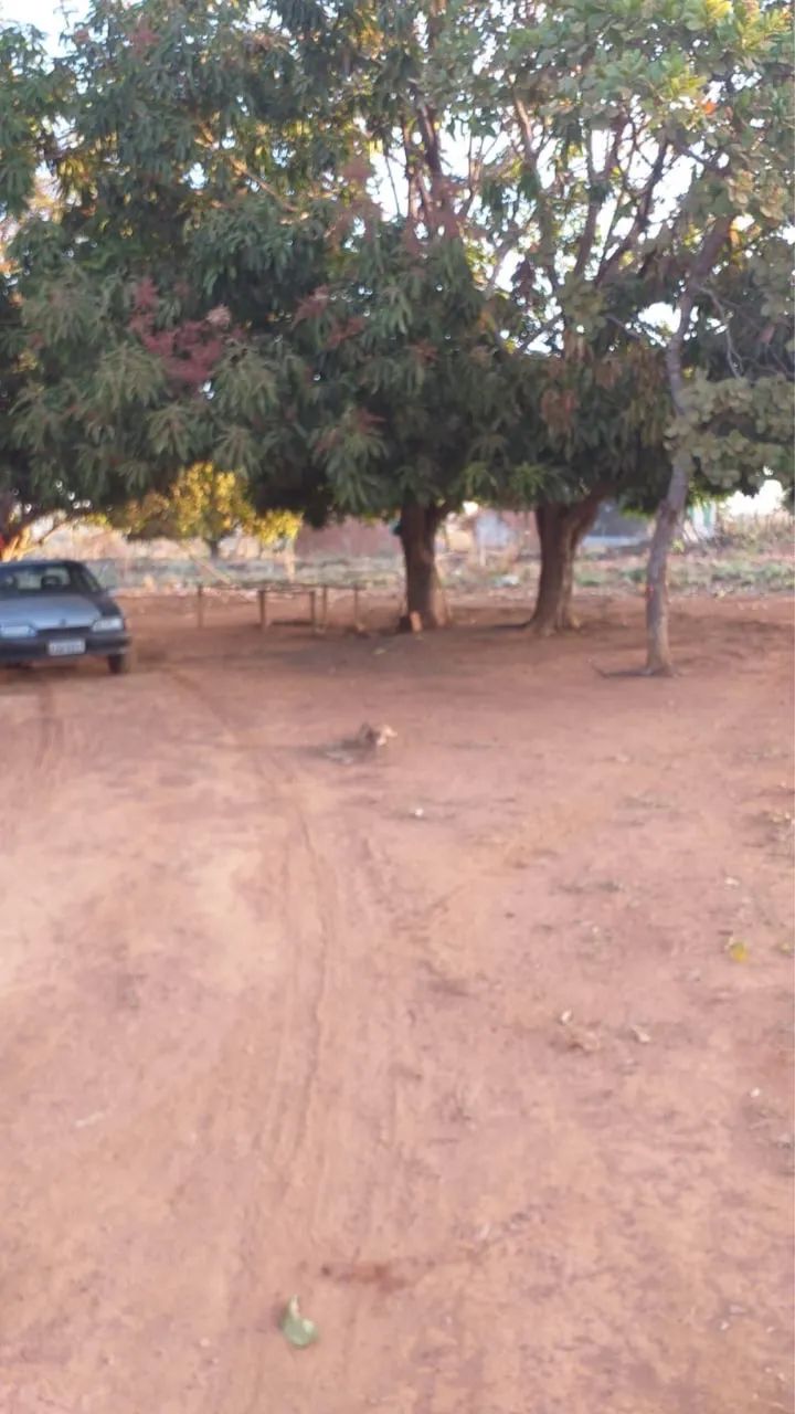Lote Garavelo Sul - Foto 2