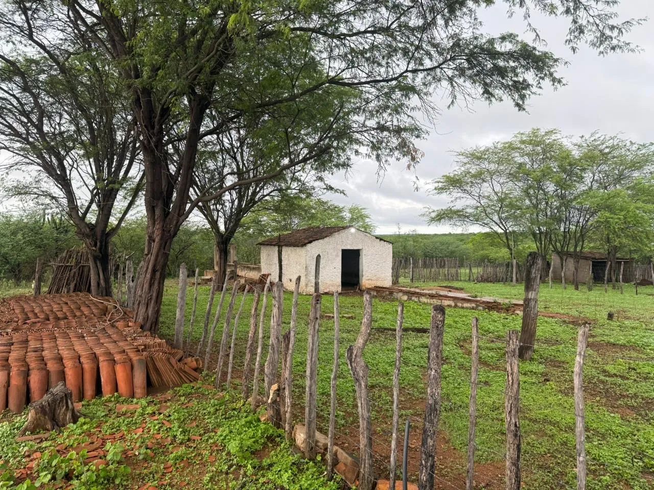 Sítio a venda em sertania Pernambuco  - Foto 2