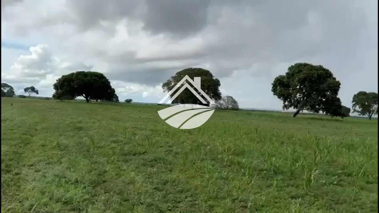 Fazenda para Venda em Araguaçu - Foto 3