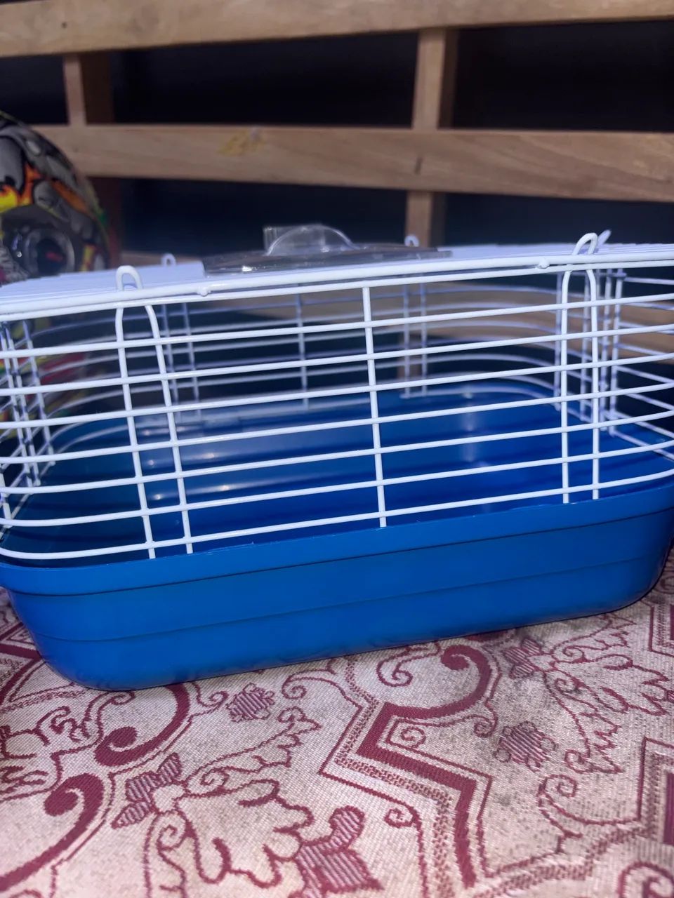 vende-se hamster 