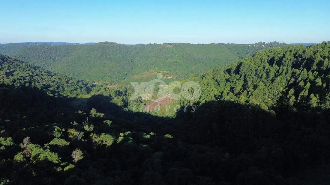 SÍTIO EM NOVA PETRÓPOLIS / RS - Foto 5