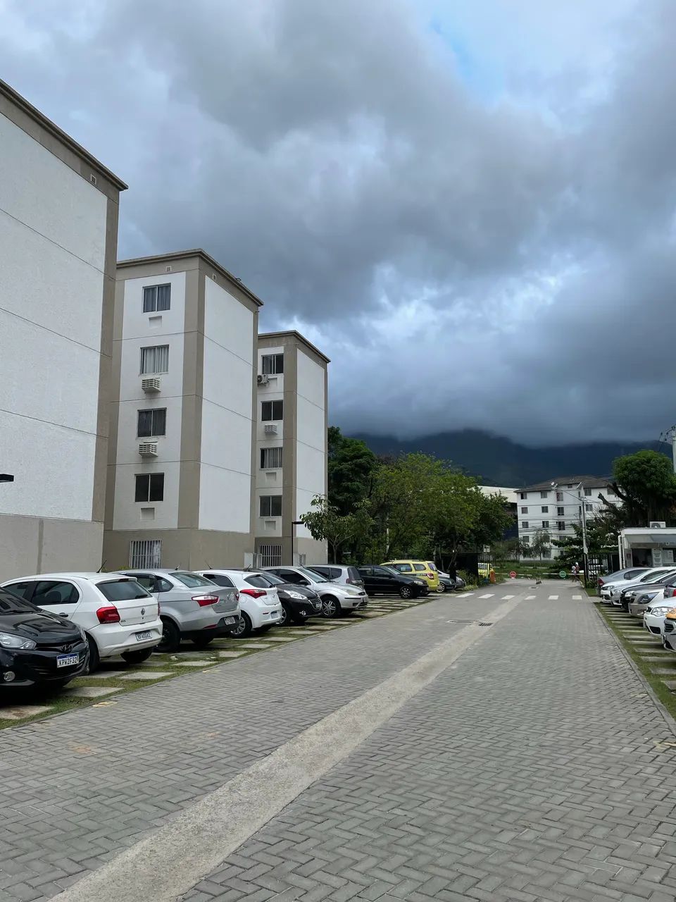 Foto - Rio de Janeiro - Gardênia Azul