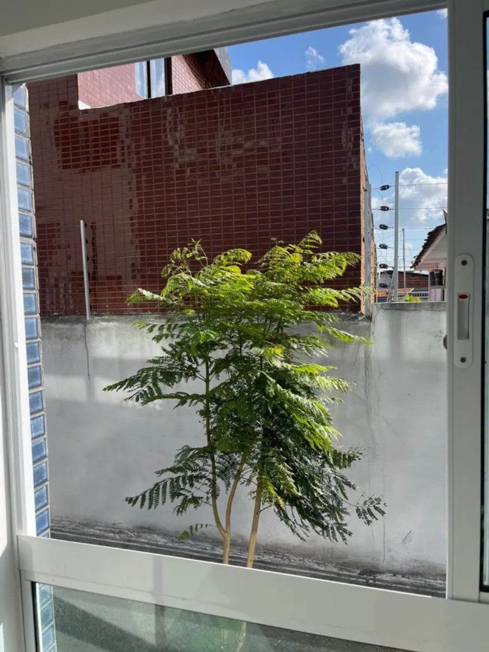 Apartamento geisel  - Foto 2