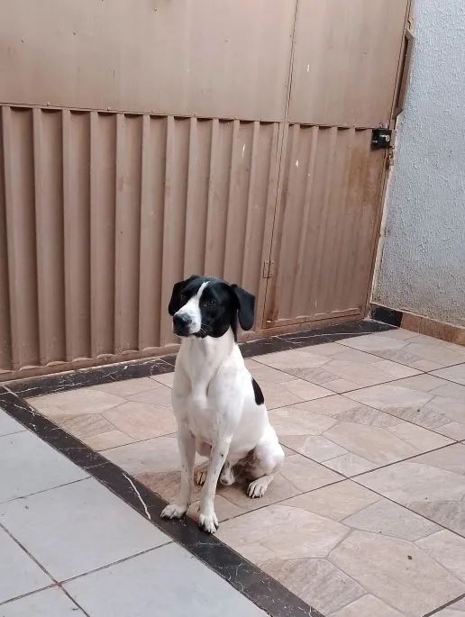 Doação 