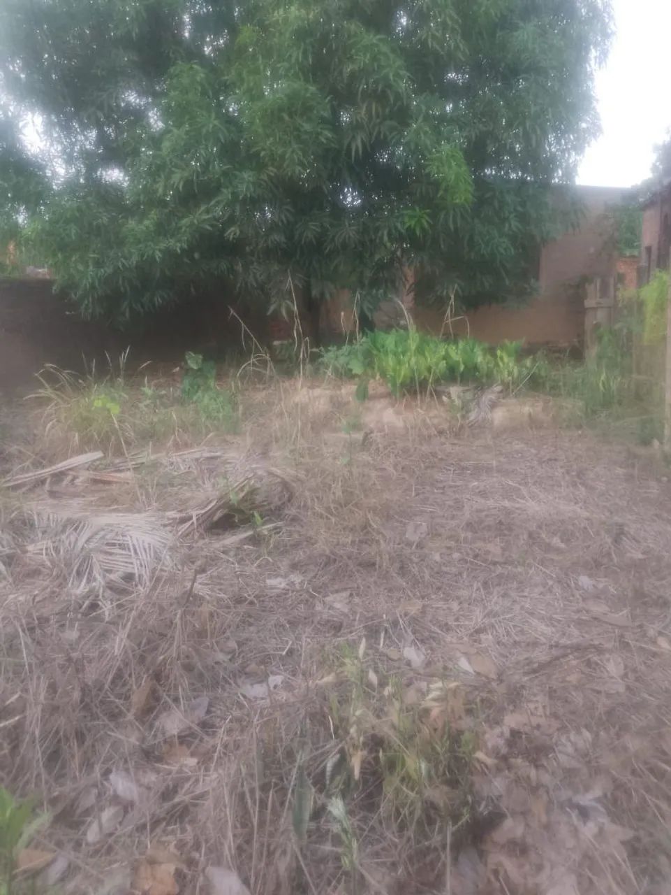 Terreno no mariana