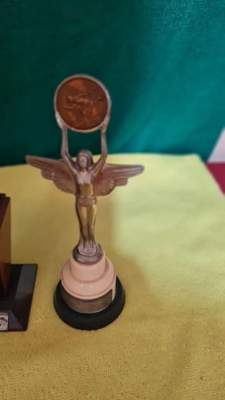 Kit de troféus para colecionadores.  - Foto 4
