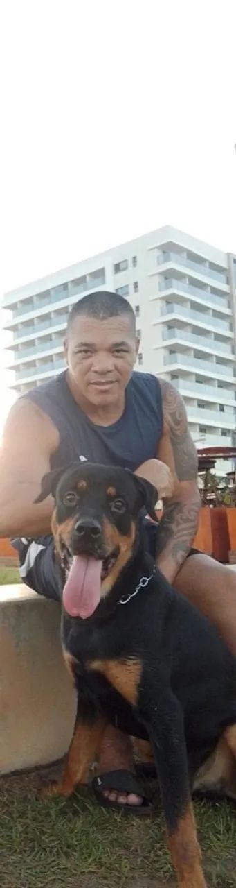 Doa-se Rottweiler  - Foto 2