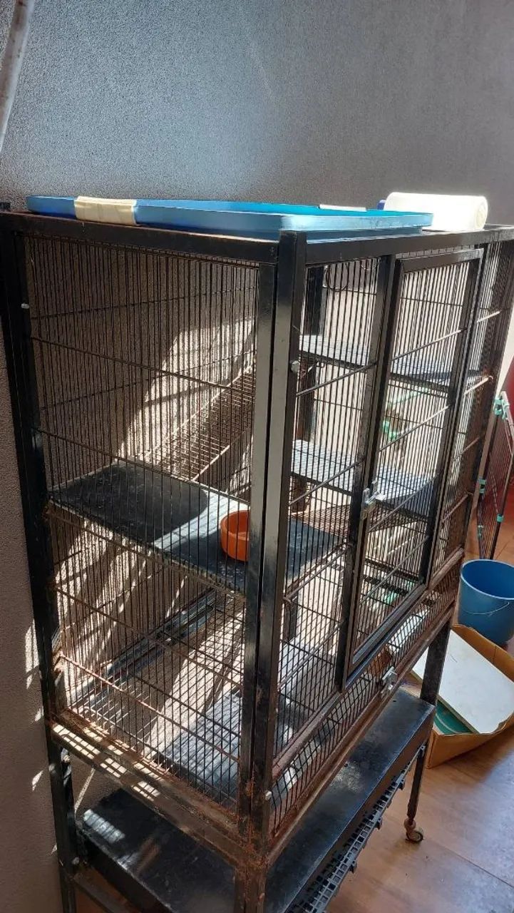 Gaiola gaiopar com base