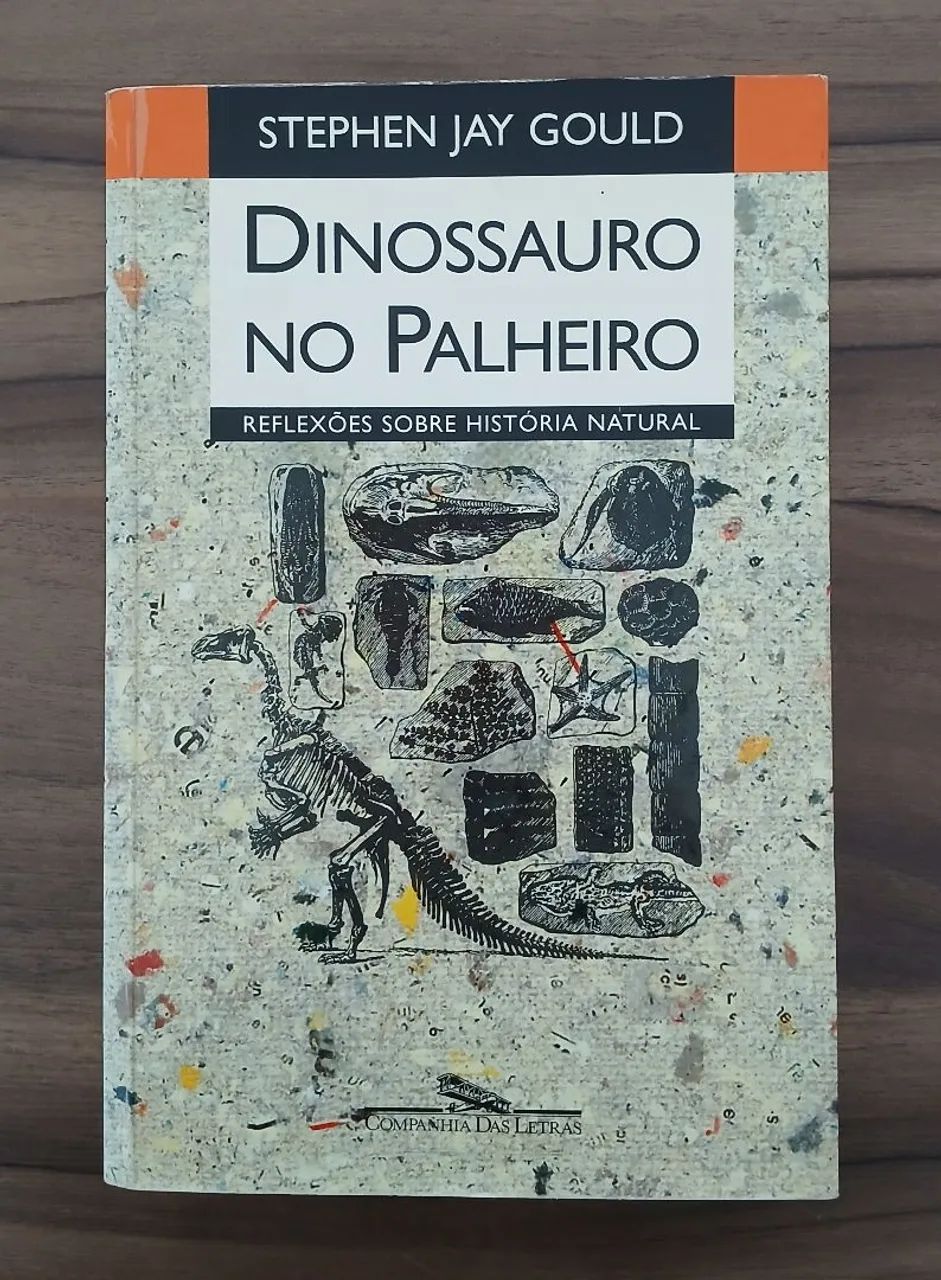 Dinossauro no Palheiro