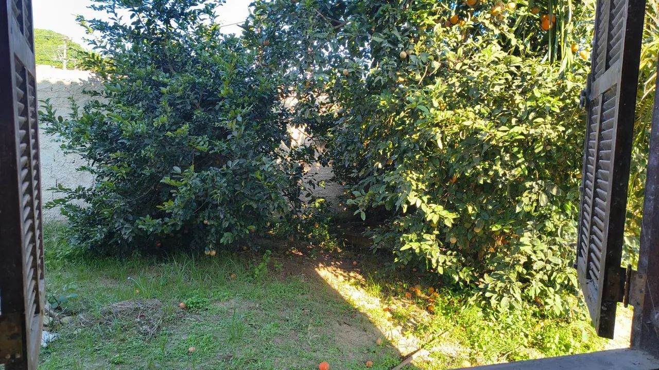 Casa com quintal em via asfaltada 