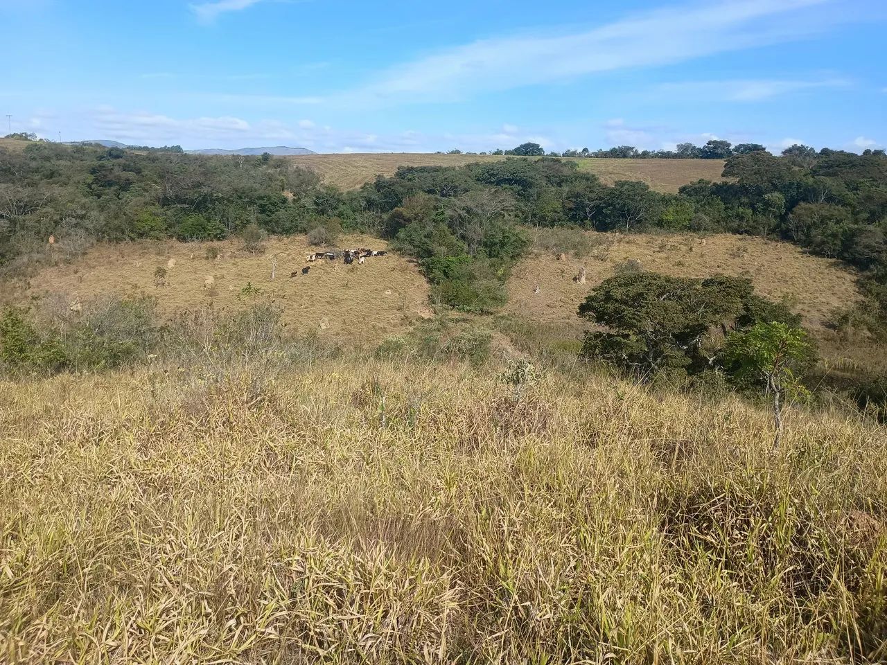 Terreno - Foto 5