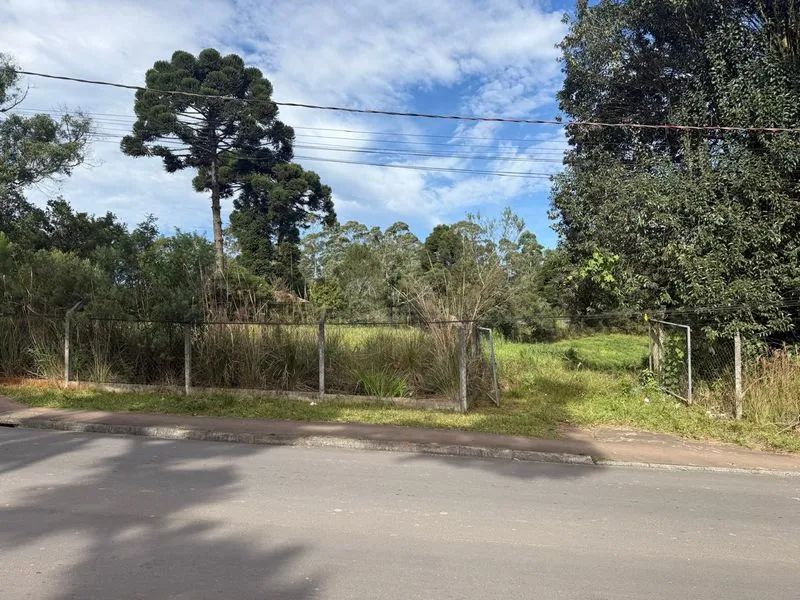 TERRENO PIRAQUARA - PR - Foto 3