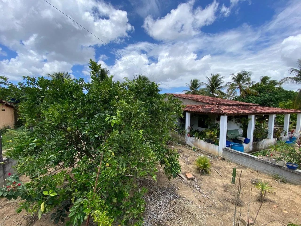 ?VENDO SITIO  - Foto 2