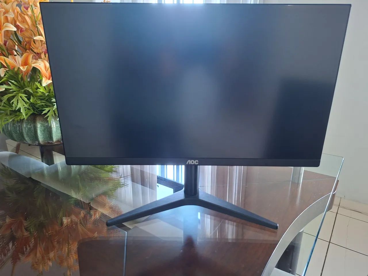 Monitor AOC