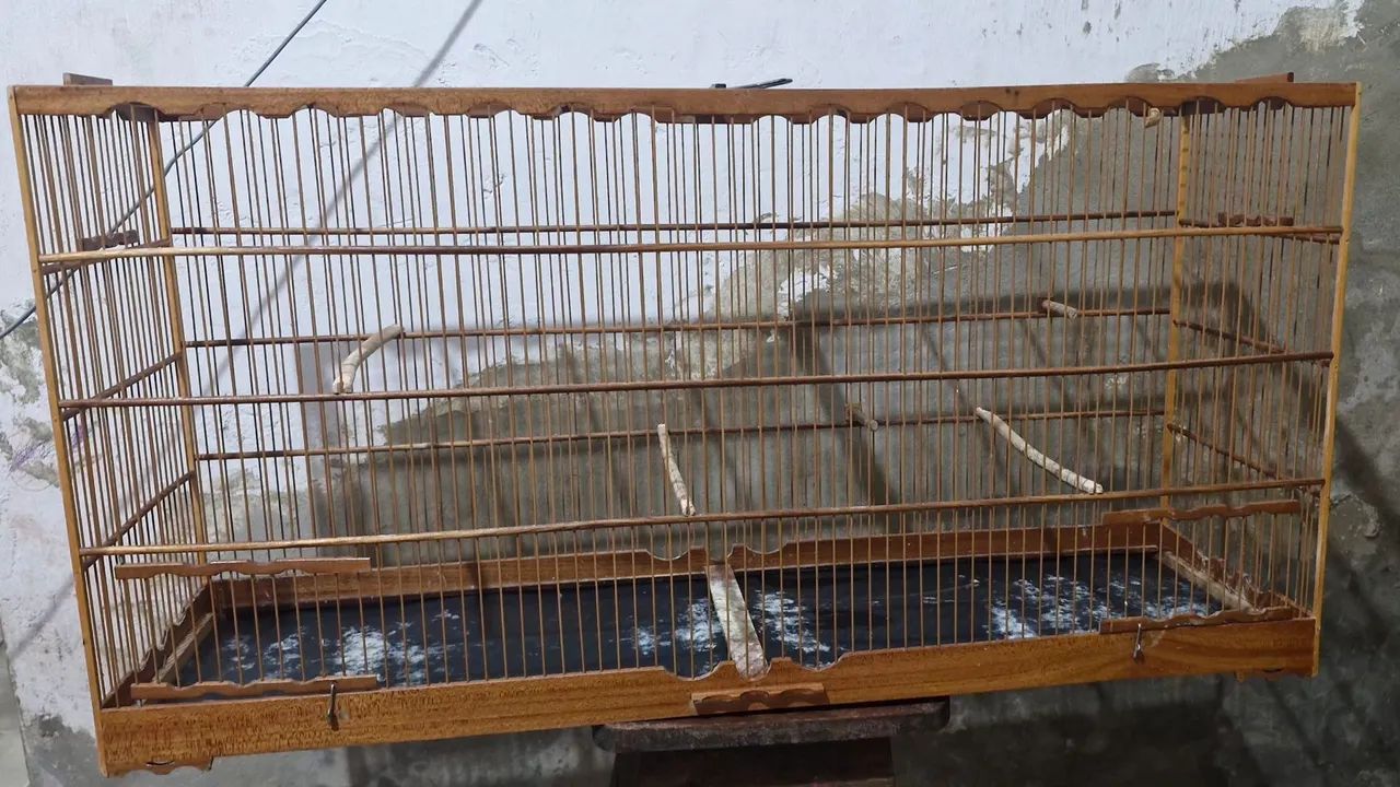 Gaiola Voador para pássaros pequeno
