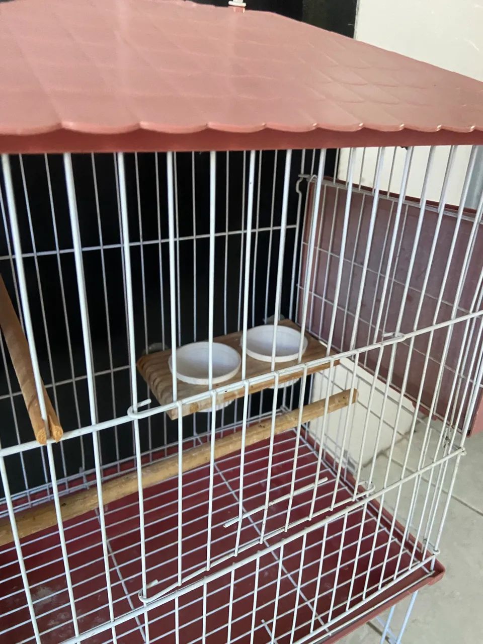 Gaiola, mini viveiro - Foto 4