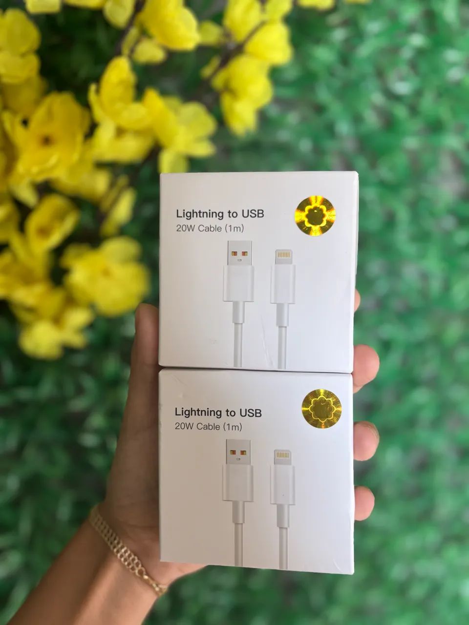 Cabo de carregamento USB- IPhone.