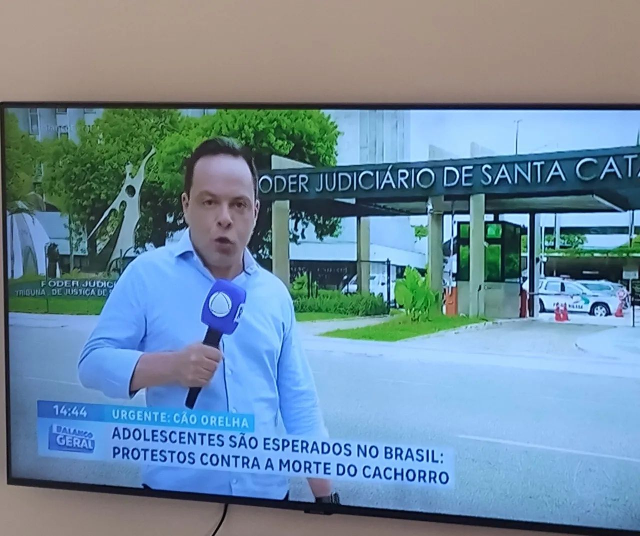 TV Samsung sistema Android funciona perfeitamente 