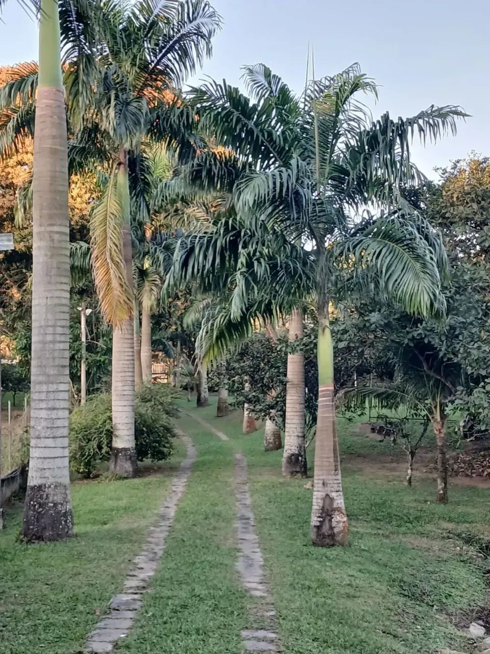 Papucaia- Região Nobre- Sitio Montado- Ideal Lazer/ Moradia!! - Foto 11