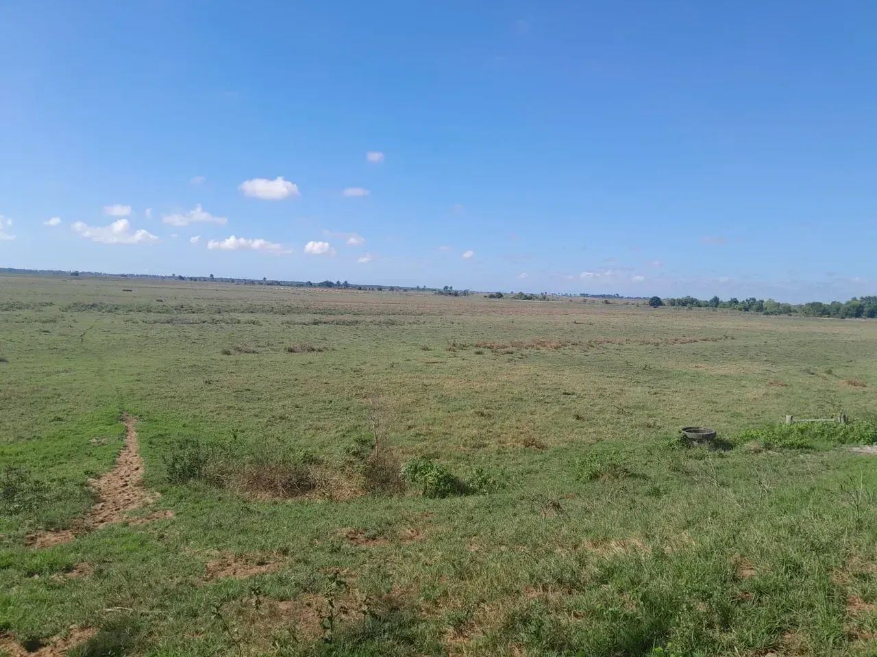 fazenda de Oportunidade - Foto 3