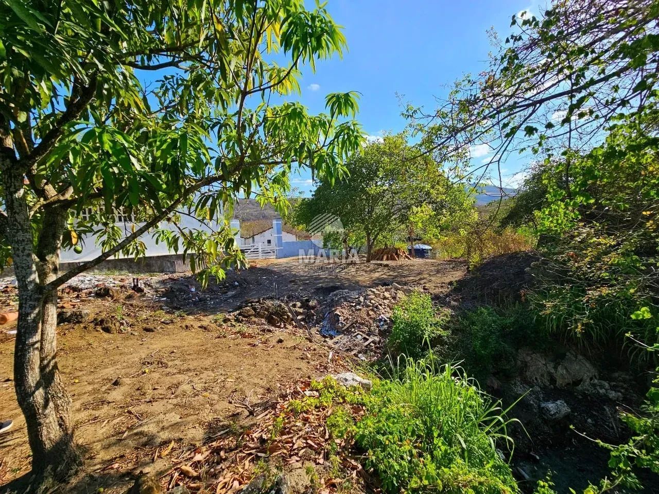 Sítio com 1 hectare à venda em Russinhas/PE! - Foto 2