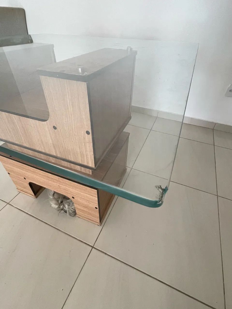 Mesa de jantar - vidro - Foto 4
