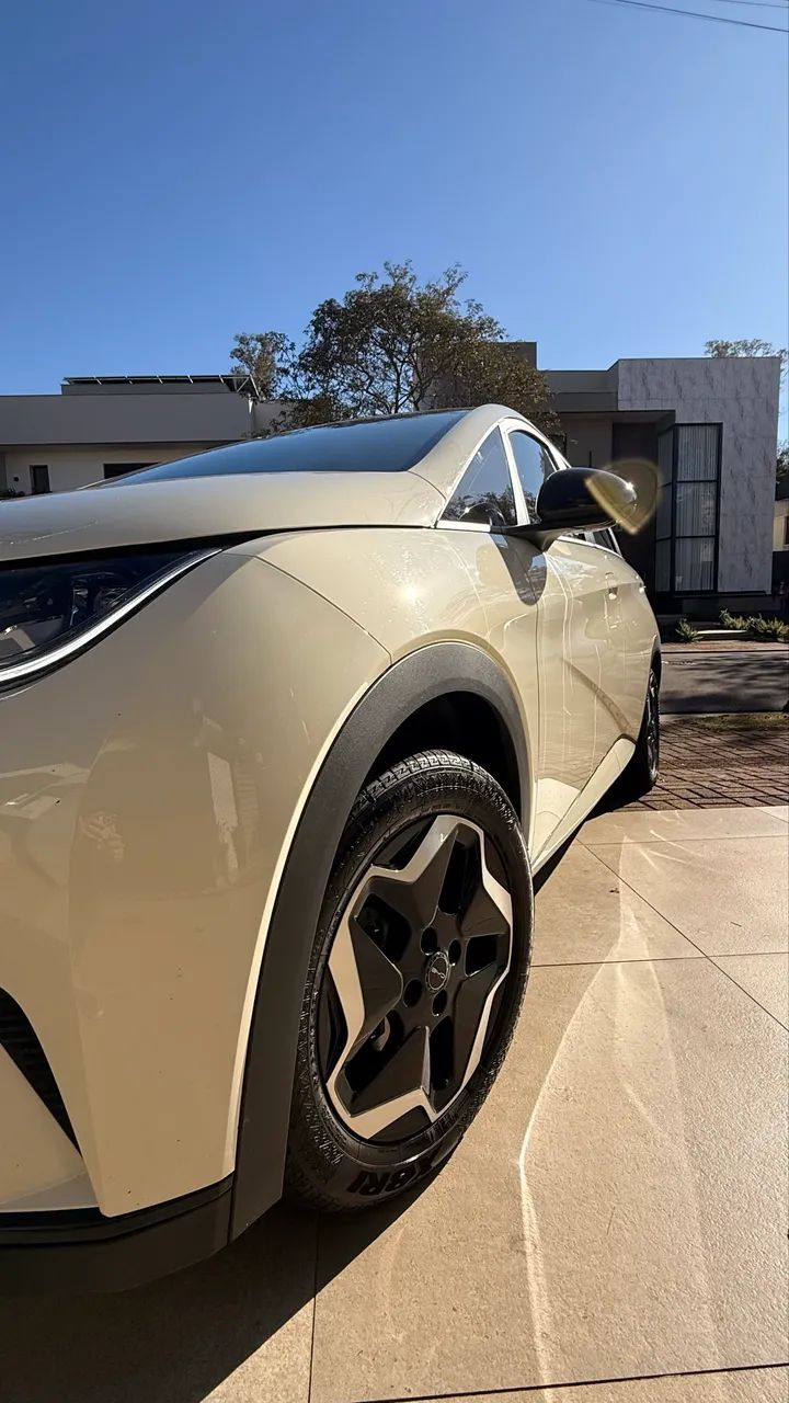 BYD Dolphin EV (Elétrico) 2024 - Foto 4