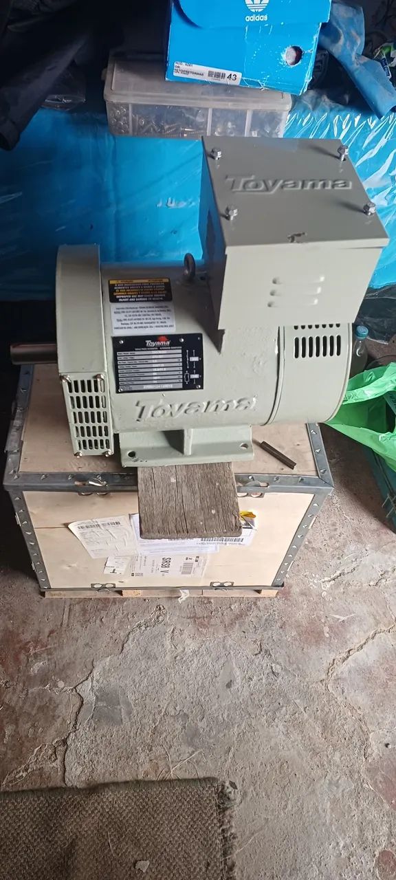 Motor gerador energia monofasico bivolt 110/220v  4 Polos