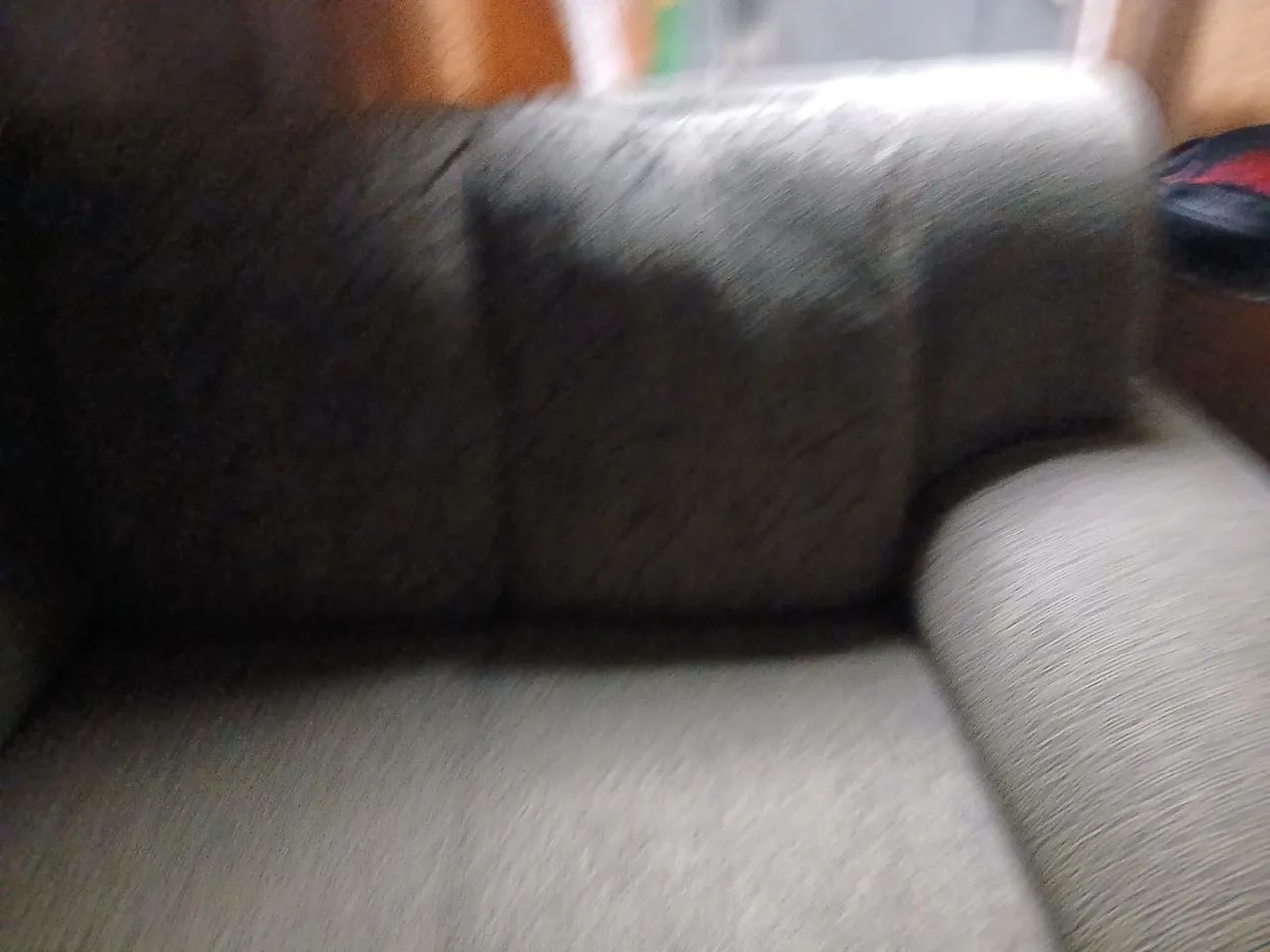 Sofá + Mesa Tampo de Vidro