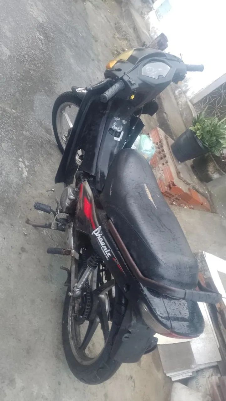 Phoenix 50Cc