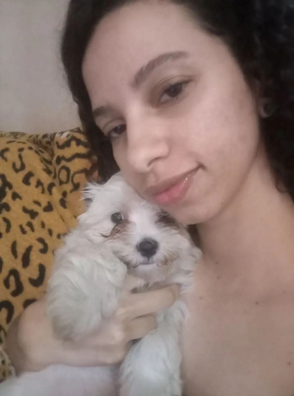 VENDE-SE  MALTÊS MACHO - Foto 2
