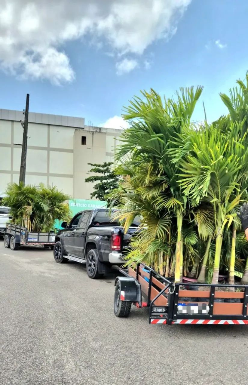 Jardinagem e Paisagismo - Arte Jardim - Foto 4