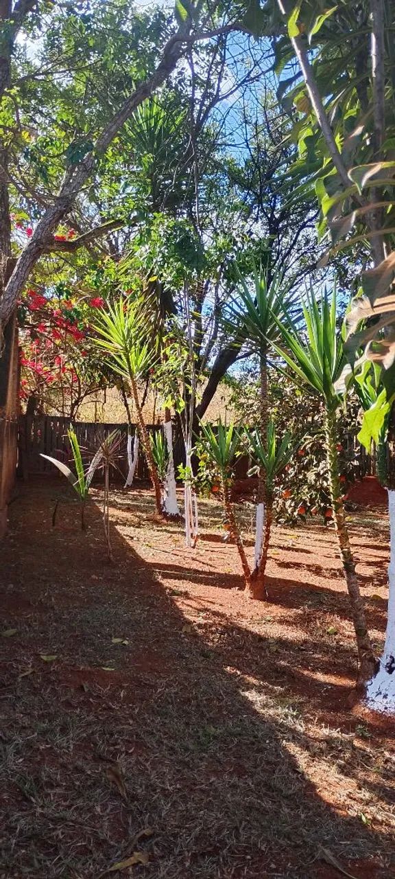 Vendo chácara de 2.800 metros quadrados  - Foto 5