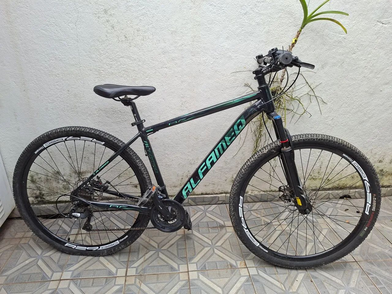 Bicicleta aro 29 modelo alfameg 
