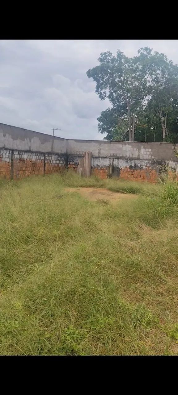 Vendo esse terreno em Plácido de Castro-AC - Foto 5