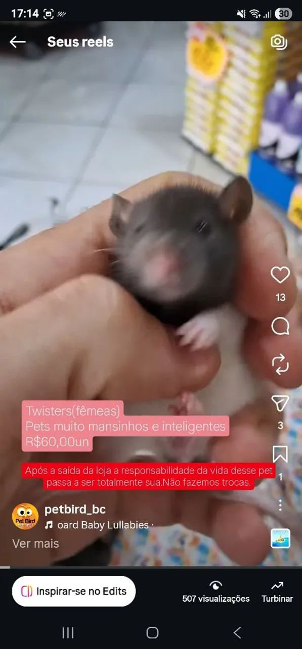 Hamster gerbil twister  PET BIRD AGROPET BALNEARIO CAMBORIÚ - Foto 5