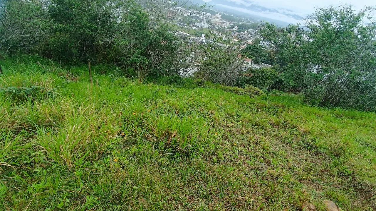 Vendo terreno em santo amaro  - Foto 5