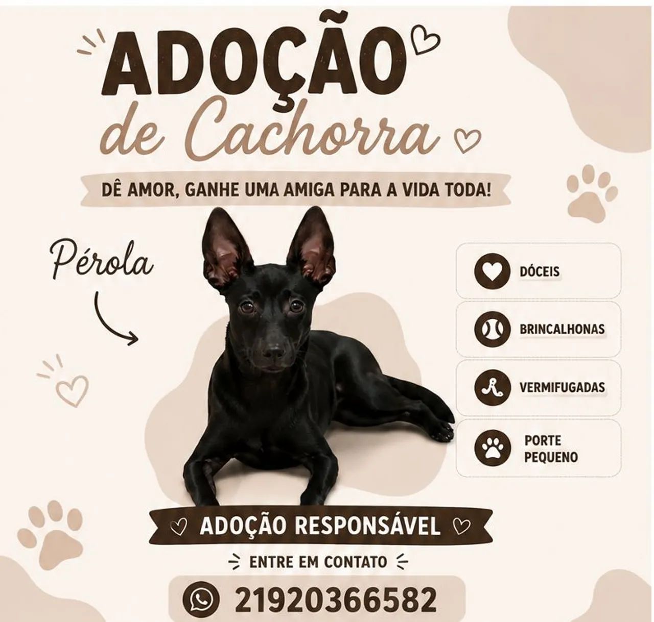 Adoção responsável Pérola 